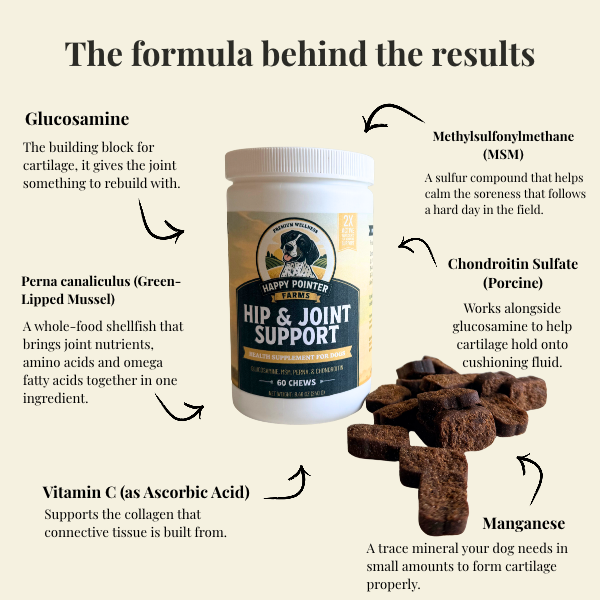 Hip & Joint Support