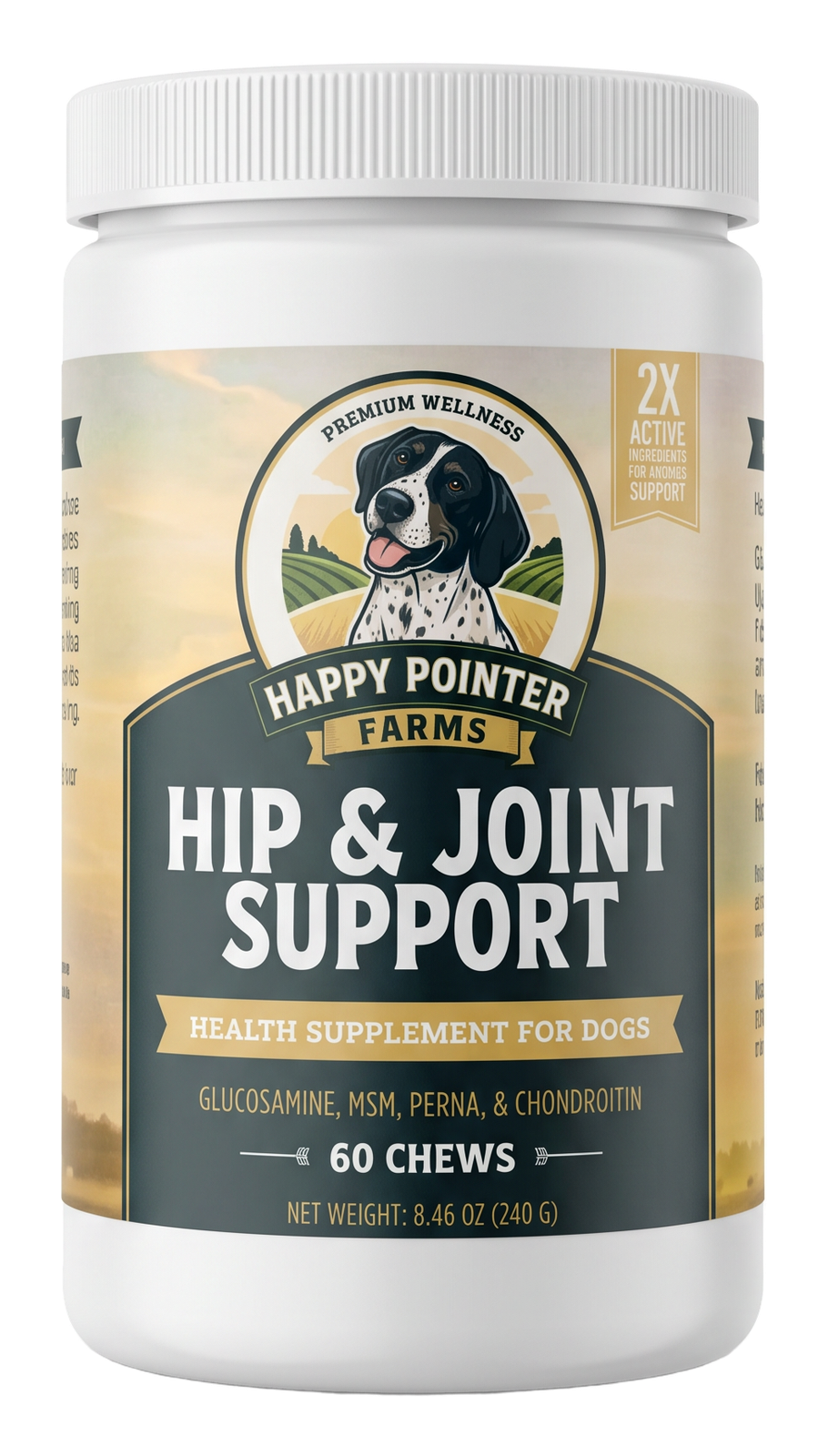 Hip & Joint Support